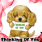 Thinking Of You A Lot!