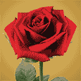 To My Lovely Wife On Her Anniversary