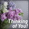 Thoughts Of You Are Never Far Away!