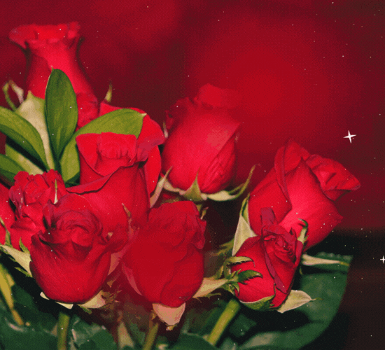 Card For You.