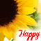 Sunny Birthday Flowers %26 Greetings.