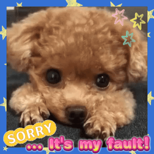 Sorry It’s My Fault!