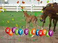 Happy Birthday! #7