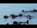 Celebrate World Ocean Day