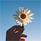 Sending Sunshine To...