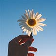 Sending Sunshine To...