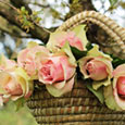 Celebrate The Gift Of Life.