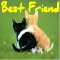 You Are My Best Friend!