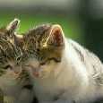 I Look Beautiful When You Love Me!