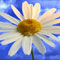 You Are Welcome Greeting Card.