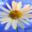You Are Welcome Greeting Card.