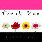 Thank You So Much.