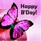 Birthday Wishes