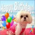 Have A Carefree Birthday!