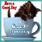 Kitty Says Good Morning.