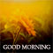 Sending Smile And Hugs...