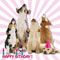 Dogs Are Singing For Your...