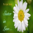 Sister-in-law Love