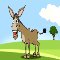 A Birthday Donkey Card Song Video.