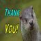 Otterly Awesome Thanks!
