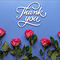 Special Anniversary Thank You Card!