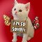 I%92m Sorry Ecard