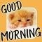 Good Morning Wish For A Wonderful Day
