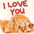 Surprise Your Sweetheart - Love Ecard.