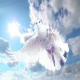 Blessed Whit Monday To Every One.