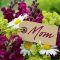 Sending Flowers And Love.