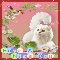 A Cute But Nice Day Card For You.