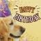 Your Birthday! Time For Celebrations!