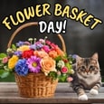 Beautiful Flowers For You!
