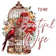 To My Beautiful Wife.
