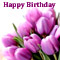 Birthday Flowers & Wishes...