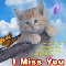 I Miss You Message Card.
