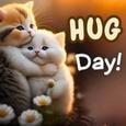 Its Hug Holiday Week.