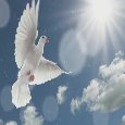 A Pentecost Message To You.