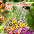 Flower Lift Up Mood & Bring...