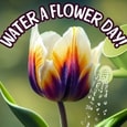 Sprinkle Of Happiness...