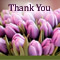 Special Thank You From My Heart!