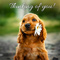 Thinking Of You! You Are My Special.