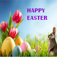 Risen Christ Bring Happiness,New Hope!