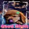 Good Night And Sweet Dreams To You.