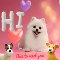 Hi, Nice To Meet You!