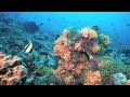 ocean poem