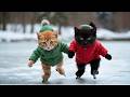 ðŸ˜ºâ›¸ Kitty Dreams of Ice...